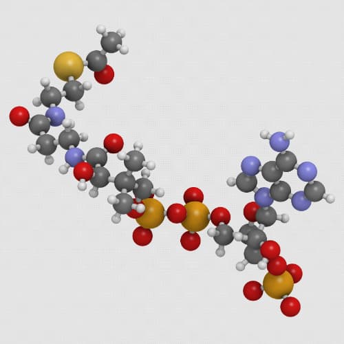 lh828 Acetyl hexapeptide 8